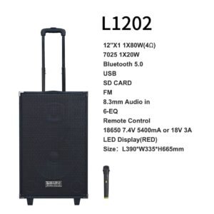 Stage speaker 12" pair