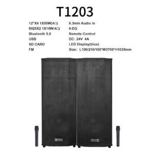 Stage speaker 12" double pair